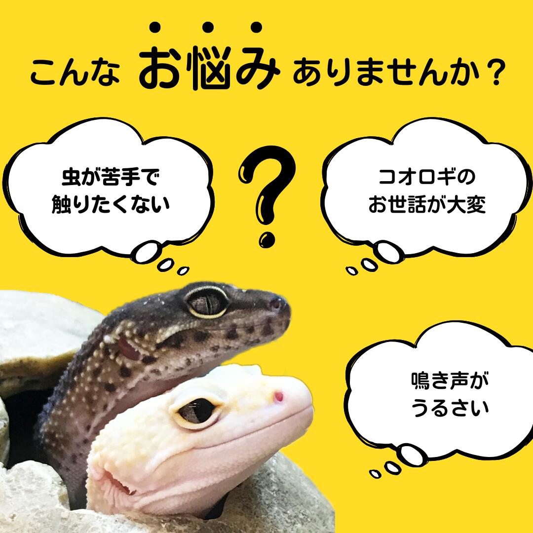 楽天市場】冷凍コオロギ メガ L 2.4cm-2.9cm程 100g 300g 500g 1kg