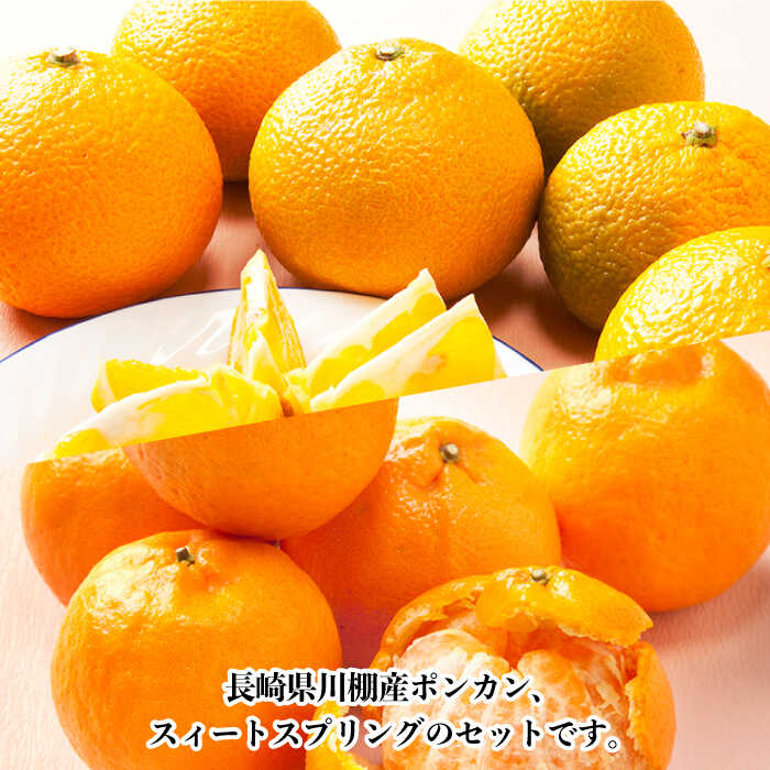 楽天市場】【ふるさと納税】【数量限定】ポンカン・スィートスプリング