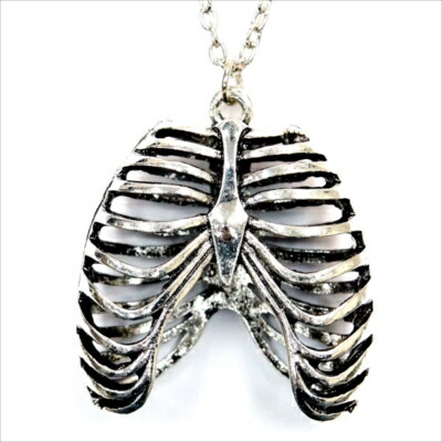 楽天市場】スカル ボーン 胸骨 肋骨 人体 骨 標本 メンズ レディース