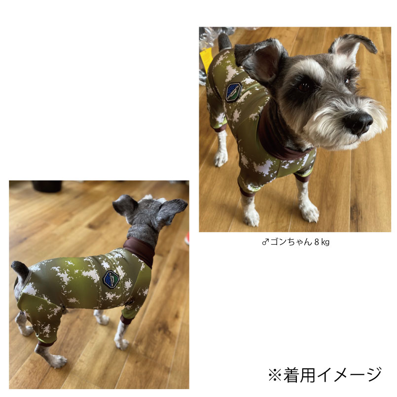 楽天市場】ALPHAICON アルファアイコン フルドッグガード MLサイズ 高