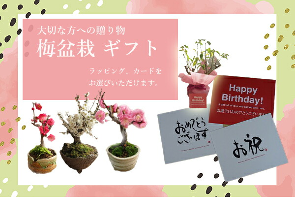 楽天市場】お買い物マラソン期間中楽天ポイント2倍2026年2月から3月に