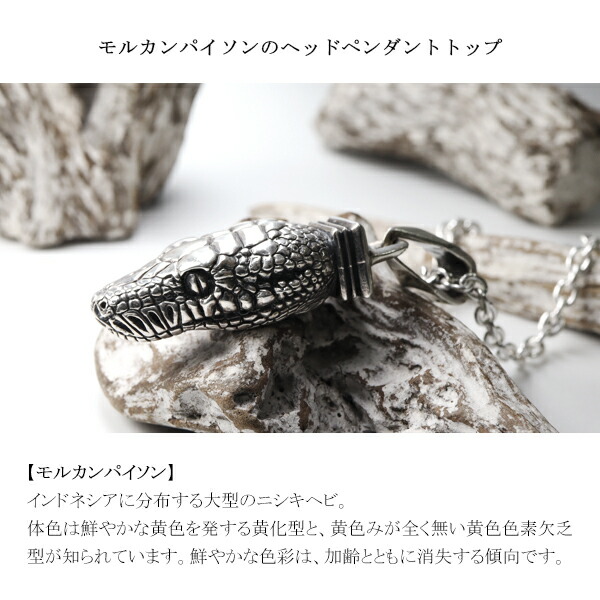 楽天市場】Cold I's モルカンパイソン ヘッド ペンダントトップ