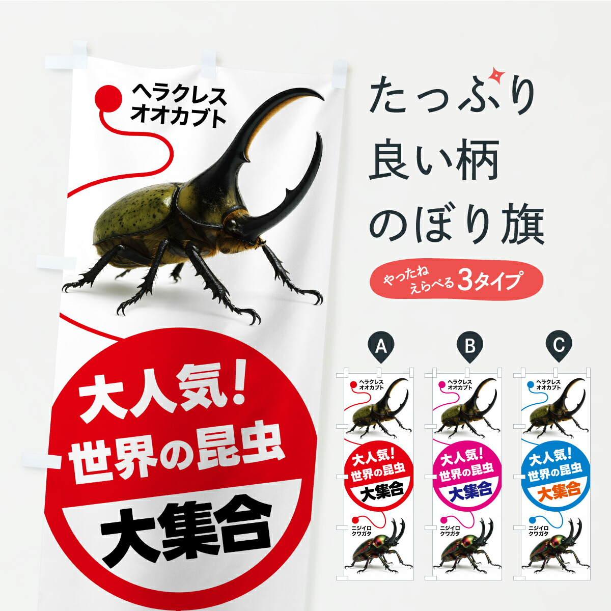 楽天市場】昆虫の標本 ツヤクワガタエレガンス Odontolabis elegans