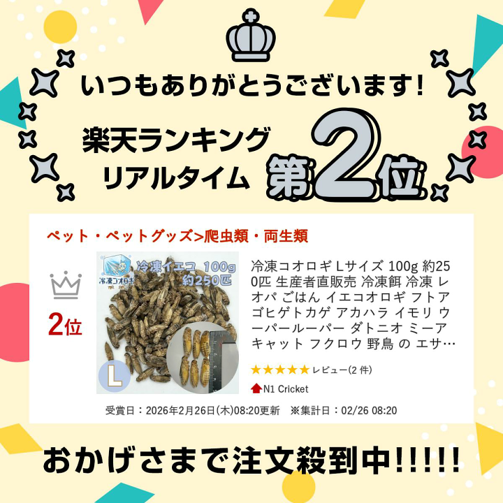 楽天市場】冷凍コオロギ Lサイズ 100g 約250匹 生産者直販売 冷凍餌