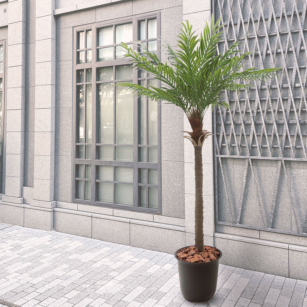 楽天市場】ヤシの木 フェニックス ロベレニー ロベヤシ フェイク
