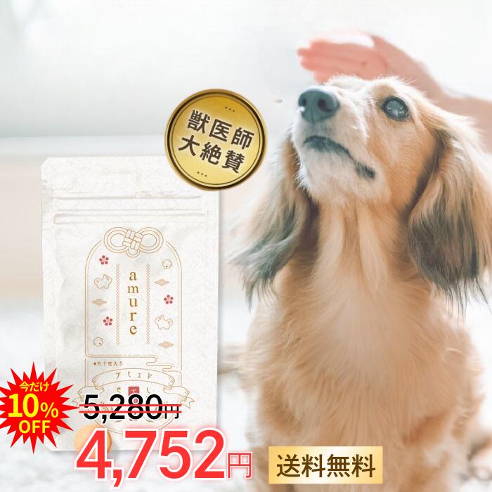 楽天市場】【エントリーでポイント10倍】 amure-アミュレ- 犬用