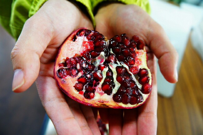 楽天市場】ザクロ苗 【カリフォルニアザクロ】 1年生 挿し木苗 果樹