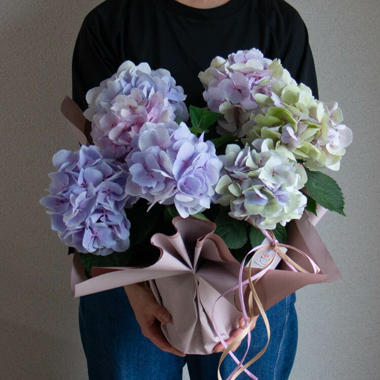 楽天市場】＼花うるるだけの先行予約／秋色アジサイの匠「鬼木氏」の極