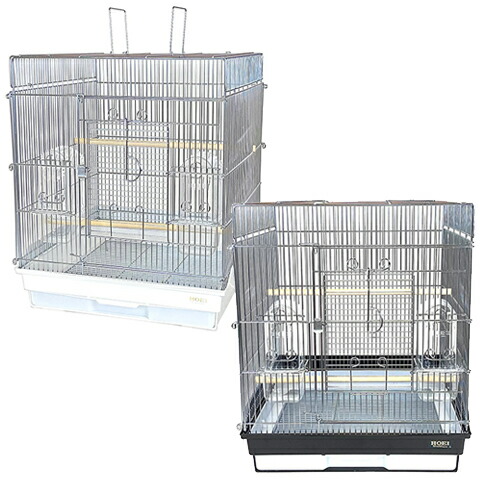 楽天市場】465インコ手のりG : 小動物専門店ヘヴン