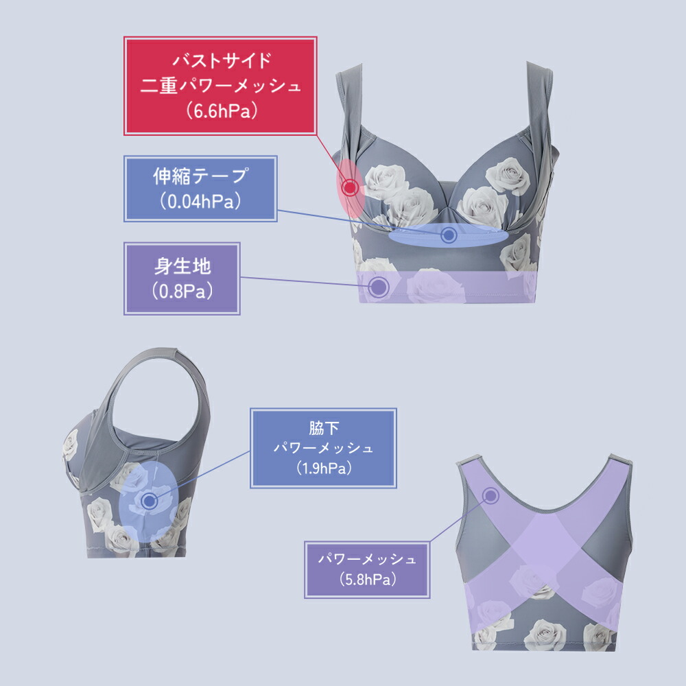 楽天市場】＼シリーズ累計200万枚突破／「CelleBra セレブラ」【3枚