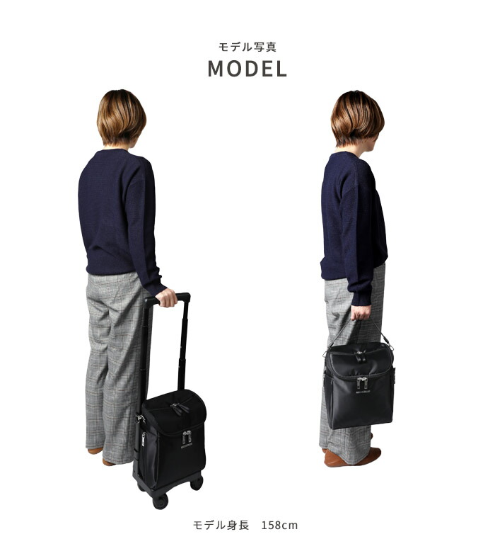 楽天市場】スワニー キャリーバッグ D-583 ジップ7 （TS15） 7L【SS