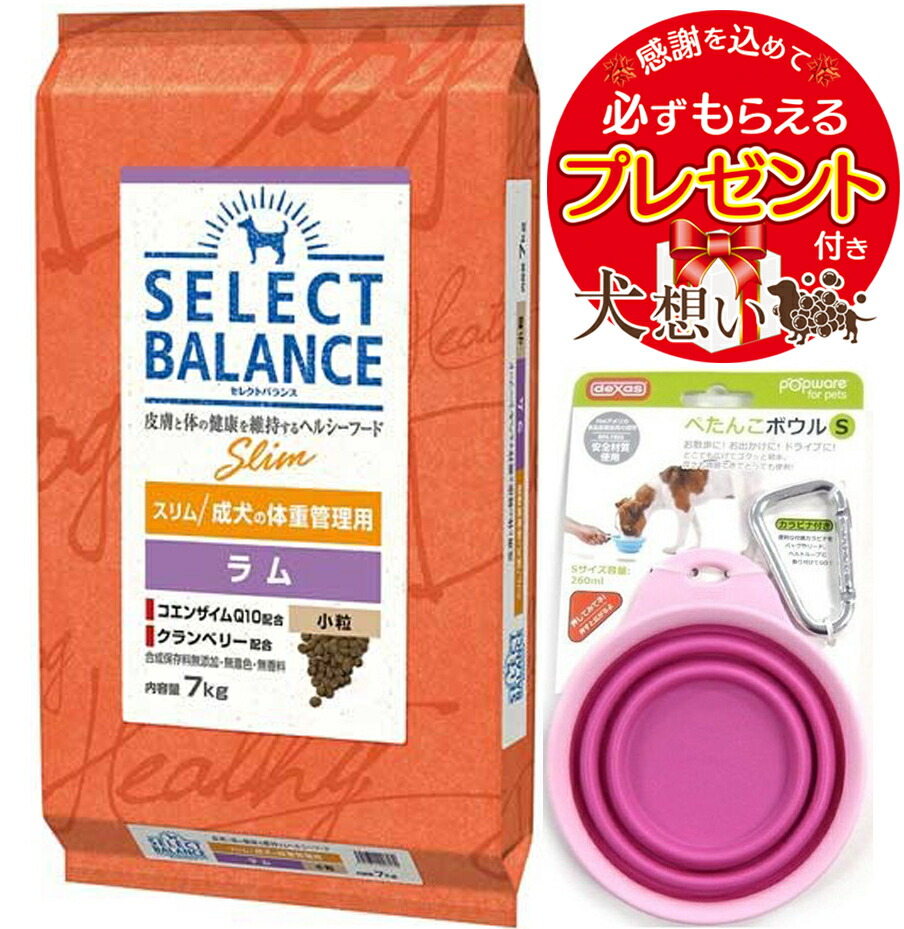 楽天市場】セレクトバランス・スリム・ラムの通販