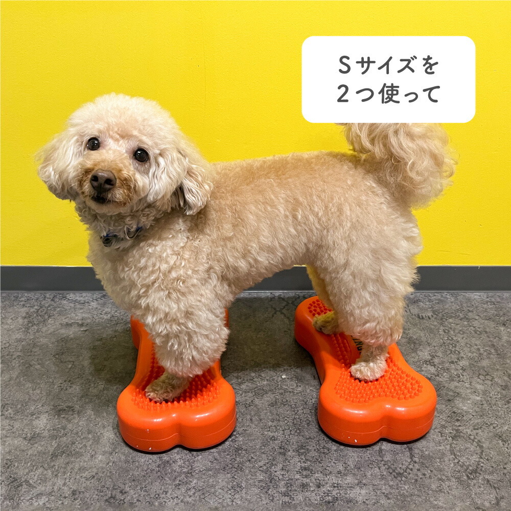楽天市場】DINGO バランスディスク ボーン Sサイズ 犬 ペット ドッグ