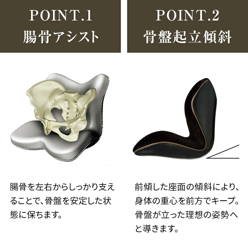 楽天市場】姿勢ケアシート スタイル プレミアム デラックス MTG Style