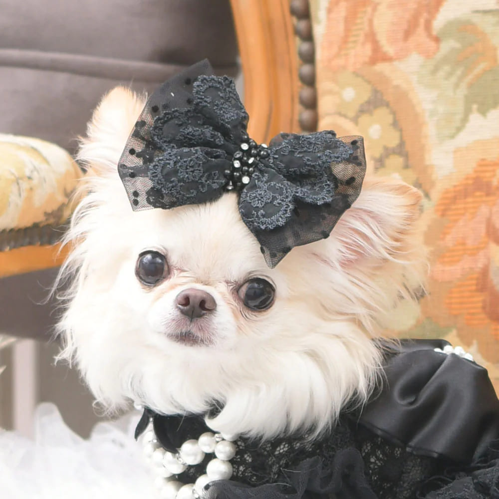 楽天市場】【Luxebirdie】シャルマンバレッタ（犬 服 小型犬 ヘア