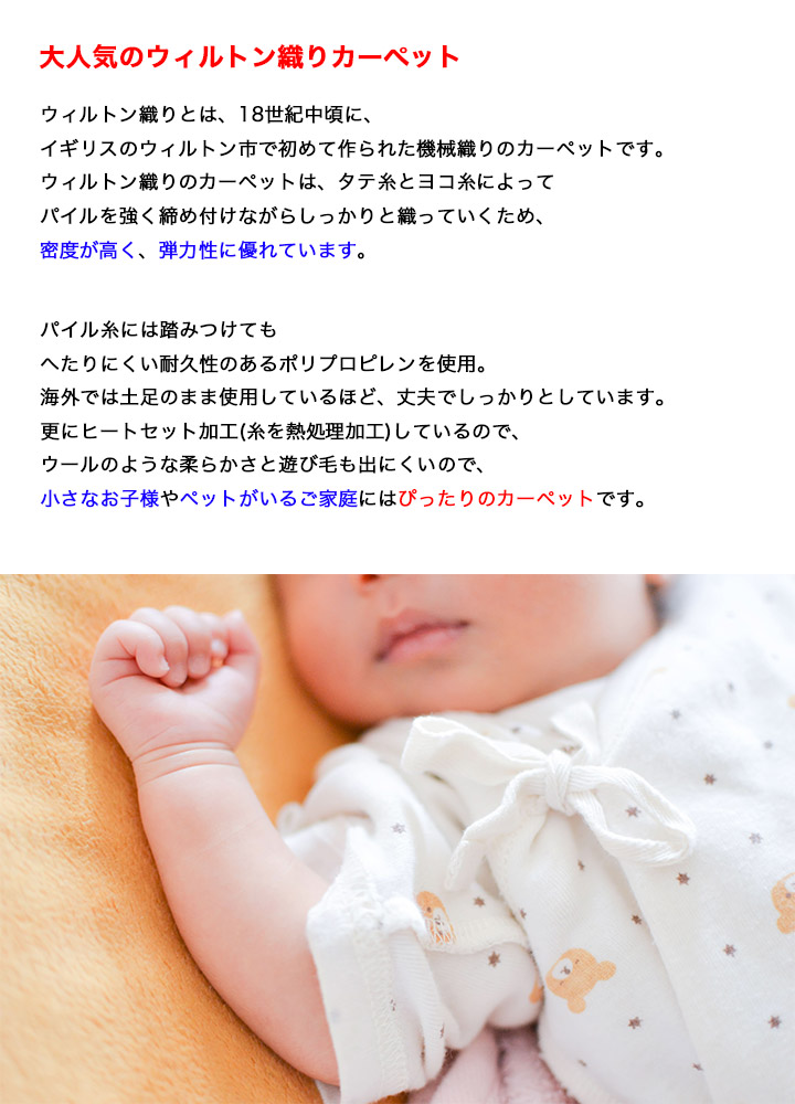 楽天市場】【ウィルトン織 ナズカ 53324】トルコ製・絨毯(じゅうたん