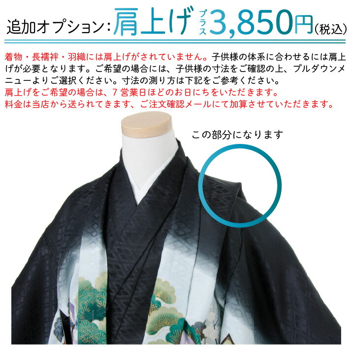 楽天市場】七五三 着物 男の子 五歳 13点フルセット 長門 鷹 富士 水色