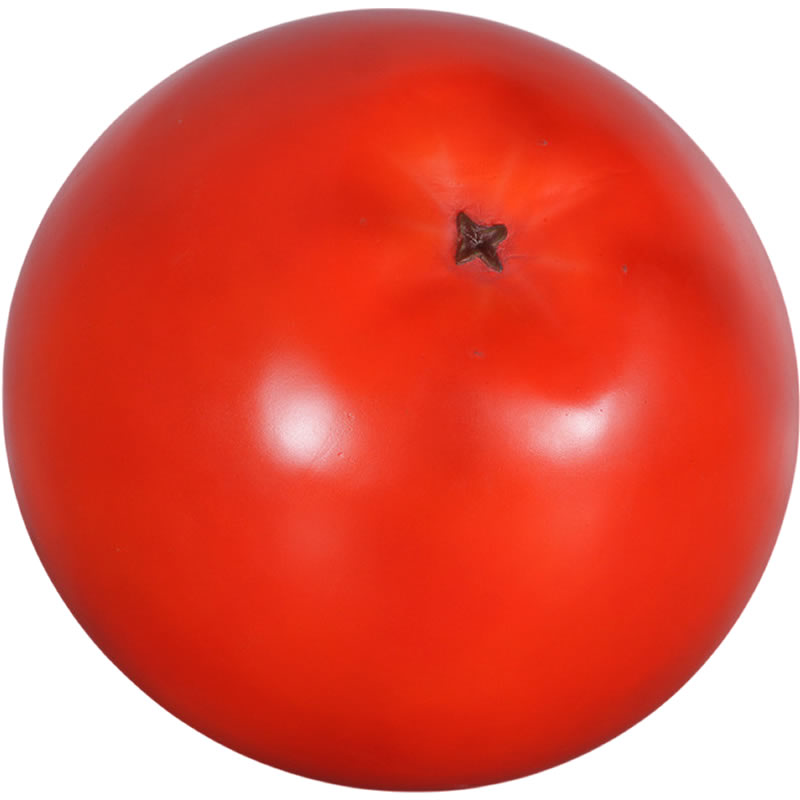 楽天市場】オブジェ トマト インテリア イベント ディスプレイ Tomato