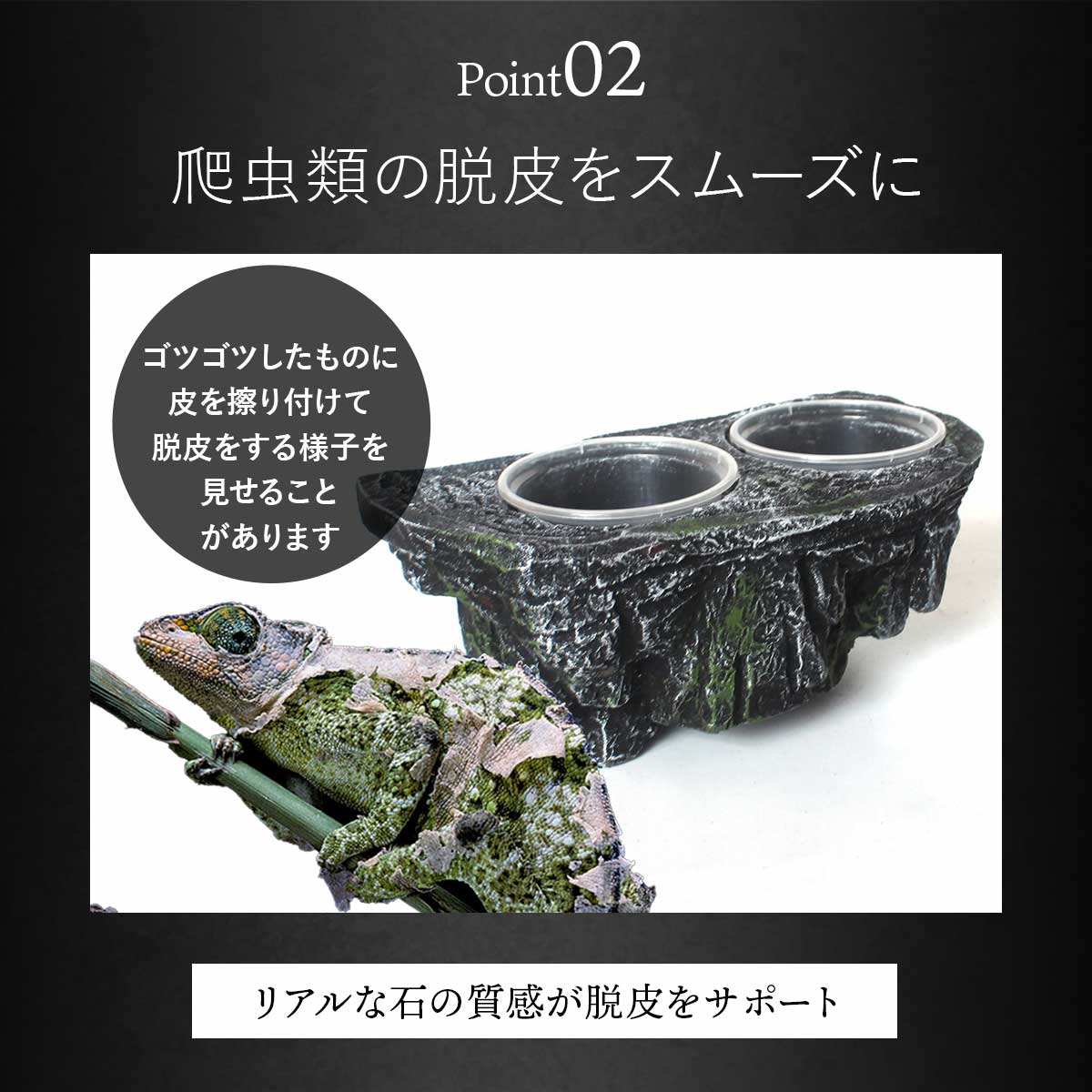 楽天市場】【DEAL 10%還元】爬虫類 水入れ エサ入れ 吸盤 爬虫類 餌