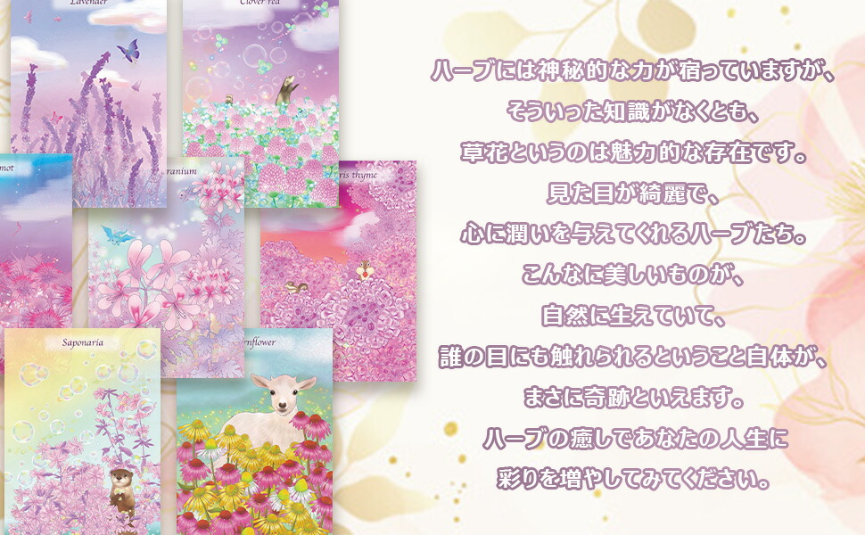 楽天市場】【初心者向け日本語ブックレット付】【大人気YOUTUBER milky