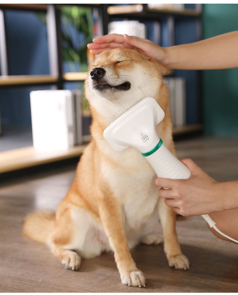 楽天市場】【10日限定10％OFFクーポン】即納 ペットドライヤー ペット