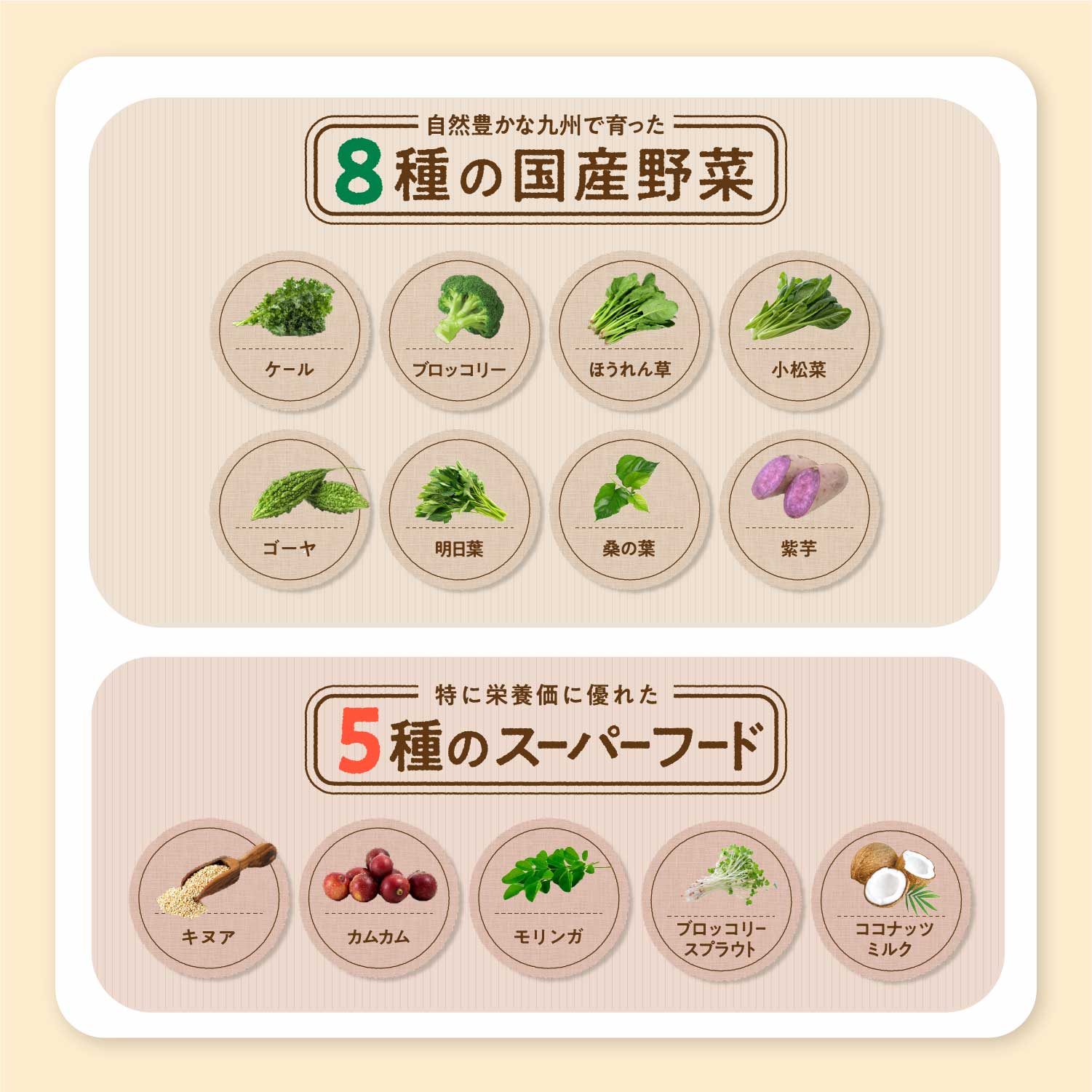 楽天市場】LEYON【公式】 superfood スーパーフード -(1) 子供 野菜