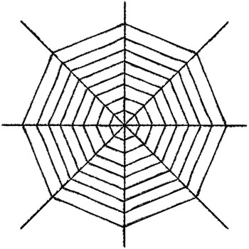 楽天市場】300cm巨大クモの巣 【 インテリア 雑貨 壁掛け 蜘蛛の巣