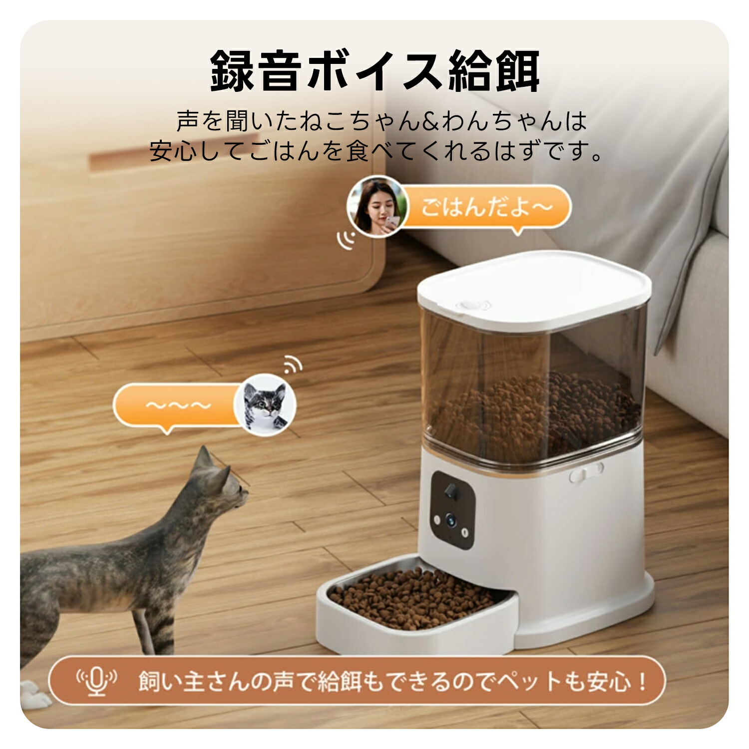 楽天市場】自動給餌器 カメラ付き 300+100万画素 猫 ダブルカメラ 自動