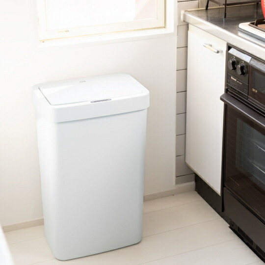 楽天市場】EKO JAPAN エコジャパン HANA SENSOR BINHANAシリーズ