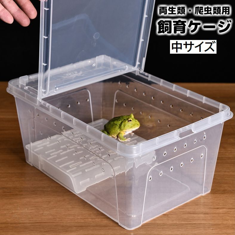 楽天市場】送料無料 飼育ケージ 飼育ケース 両生類用 爬虫類用 クリア