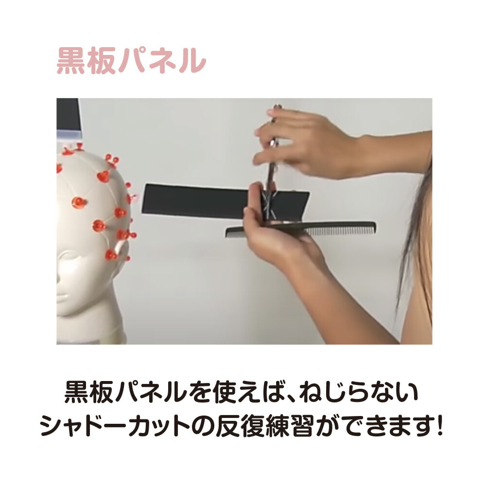 楽天市場】ポリカトレーニングウィッグセット 美容教育 美容師 道具