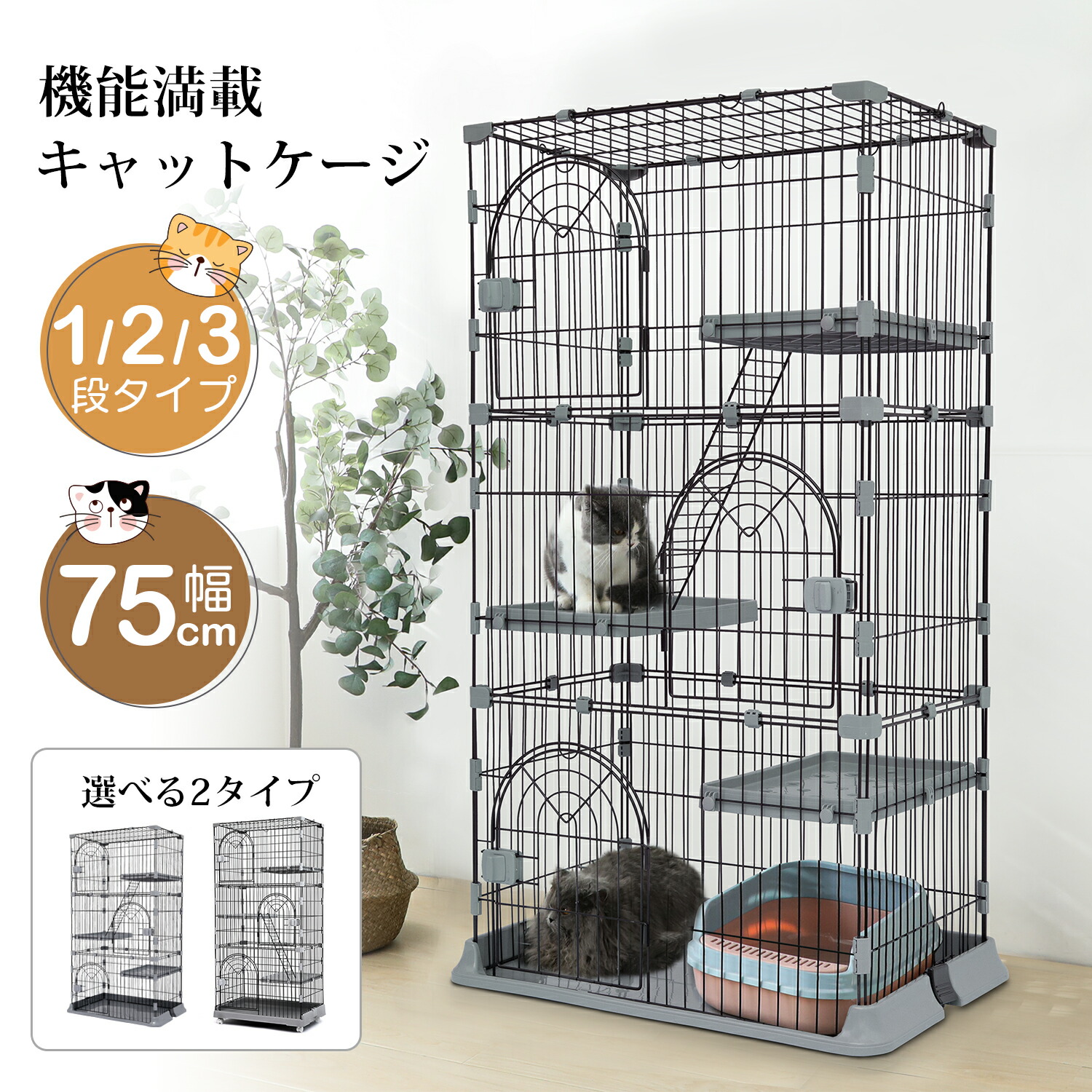 楽天市場】【SS期間限定20%OFF！さらに最大1500円OFFクーポン】猫