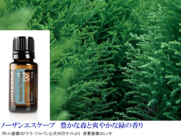 楽天市場】＼クーポン進呈中／ ドテラ アロマオイル 福袋 《スッキリ