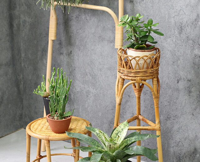 楽天市場】ラタン 天然籐 フラワースタンド Lサイズ 花台 プランター台