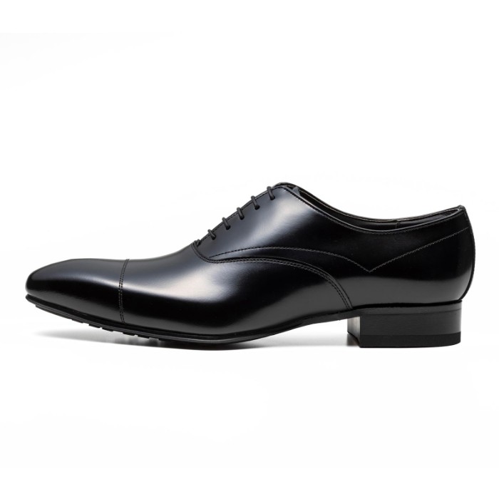 楽天市場】公式ショップ限定 【期間限定20％OFF】 REGAL 236S