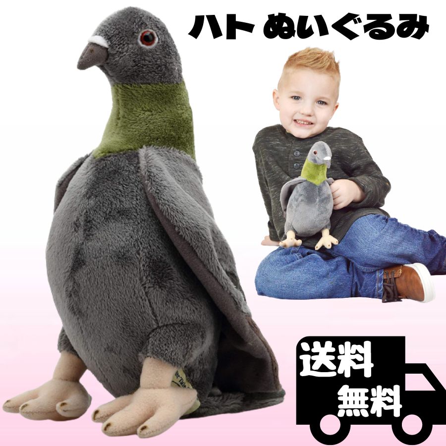 楽天市場】ハト 鳩 ぬいぐるみ リアル 22センチ ペット 山鳩 Pigeon 鳥