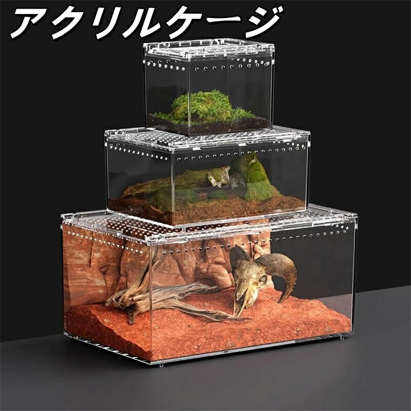 楽天市場】ケージ 爬虫類倶楽部の通販