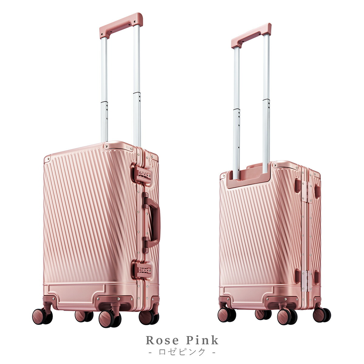 楽天市場】【5H限定豪華プレゼント 3/7 19時～】特典付き エース