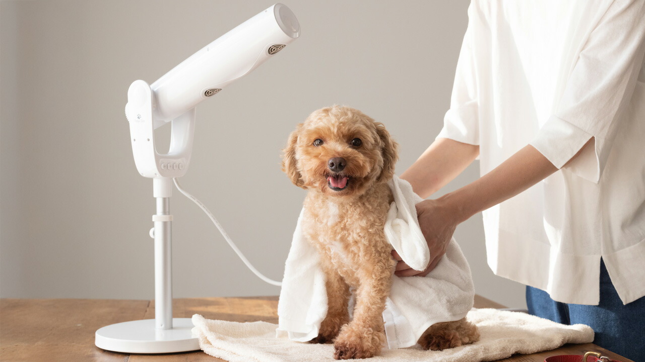 楽天市場 | オリジナル家電のシバデンライフ - 🌬️ ペットに優しい温