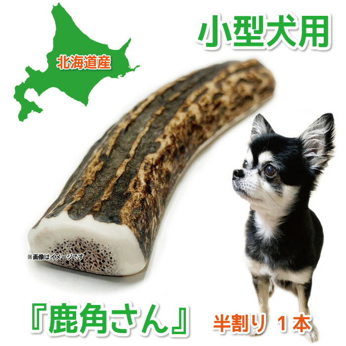 imgrc0103968352.jpg?fitin=272:272