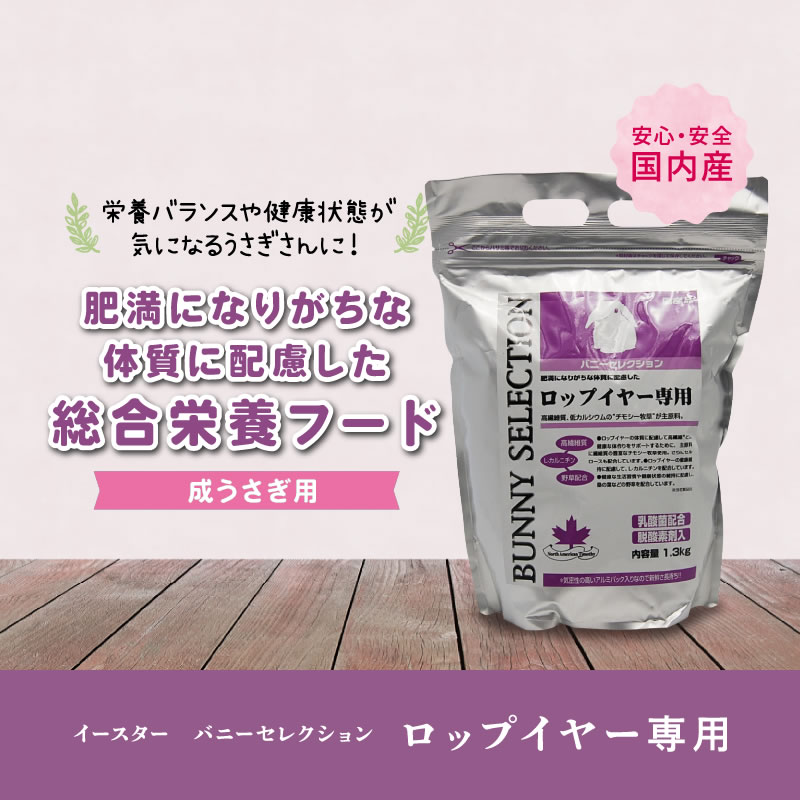 楽天市場】イースター バニーセレクション ロップイヤー専用 1.3kg