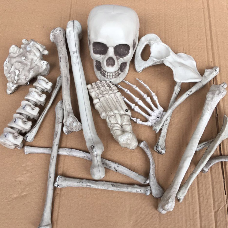 昭和レトロ ハードセル 野晒し 骸骨 髑髏 ドクロ ガイコツ人形 郷土