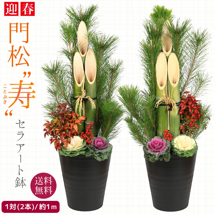 楽天市場】◇楽天1位◇迎春：寿 門松一対*(1m)*天然素材 おしゃれ 送料