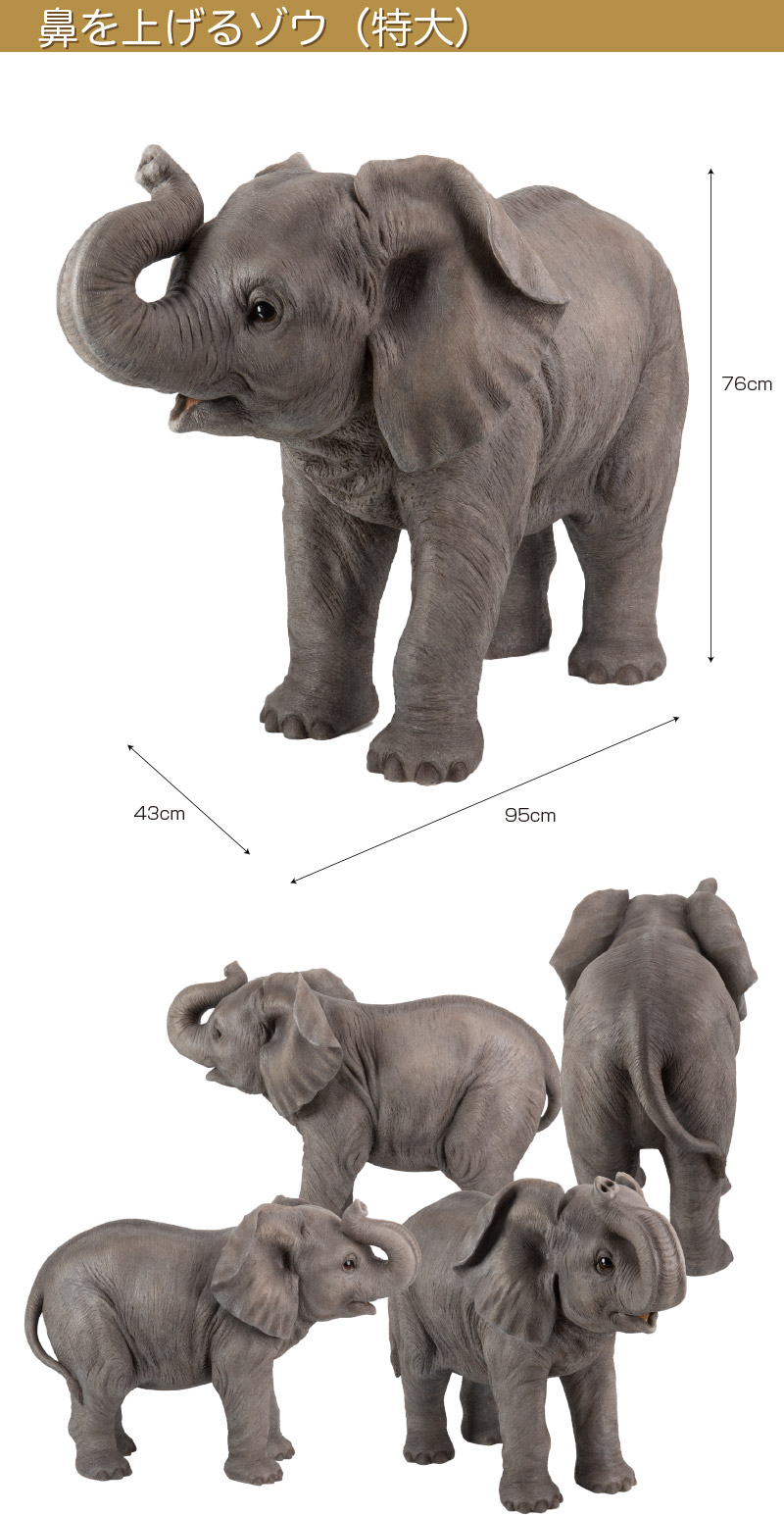 楽天市場】鼻を上げるゾウ（特大） 95 x 43 x 68 cm (幅x奥x高)本物