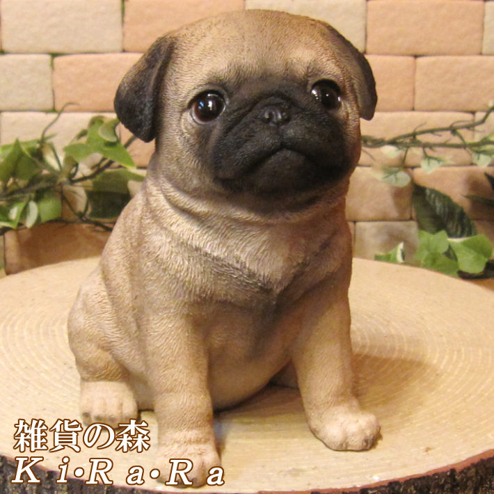 楽天市場】犬の置物 パグ こいぬ お座りタイプ ワンちゃん いぬ