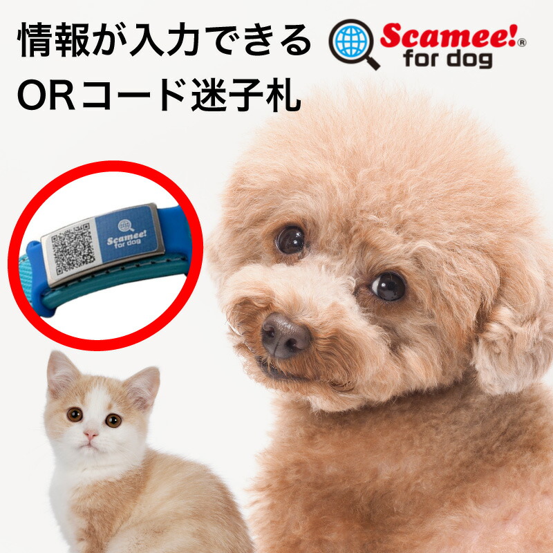 楽天市場】Scamee! for dogシール5枚&シリコーンプレートタグセット