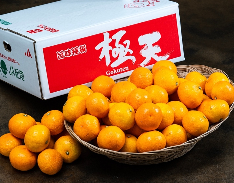 糖度13度以上「極天みかん」和歌山県産 秀 2S〜L 約5kg 産地箱 風袋込