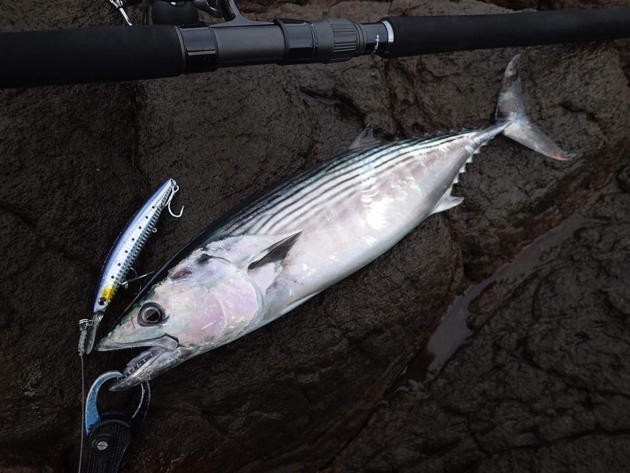 ヤマガブランクス ブルースナイパー106H PS 【公式通販】