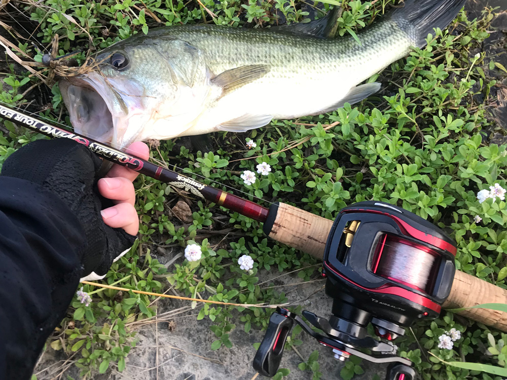 ダイワの究極のベイトフィネス専用機『ダイワ T3エアー（DAIWA T3 AIR