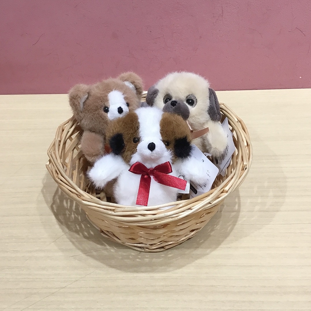 アニマルキーホルダーに新しい仲間が登場✨｜ランデヴー｜ショップ